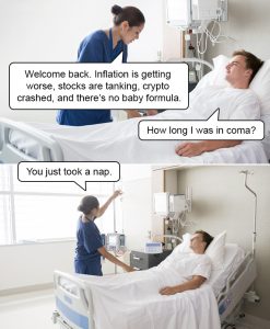 Stupid Bar Memes nap