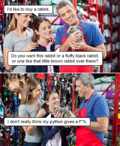 Stupid Bar Memes petsstore