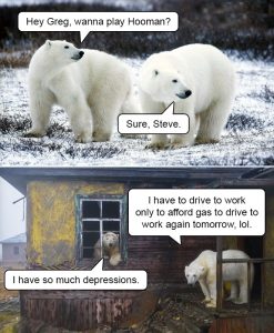 Stupid Bar Memes polarsbears