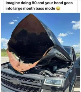 Stupid Bar Memes sspicdumps3666s640shighs48