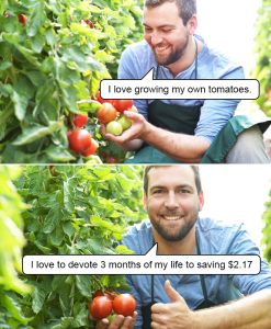 Stupid Bar Memes tomatoes