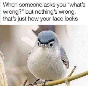 Stupid Bar Memes 2d7069edf9831eda