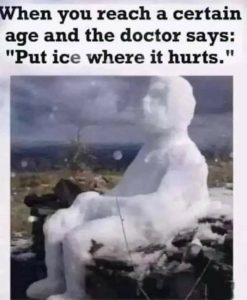 Stupid Bar Memes 5fa75f6a9e18384a