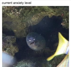 Stupid Bar Memes yousaresthissscared