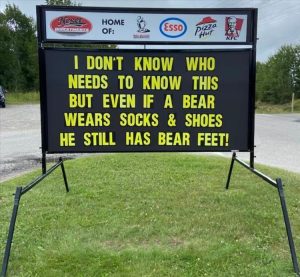 Stupid Bar Memes zzsfuns63