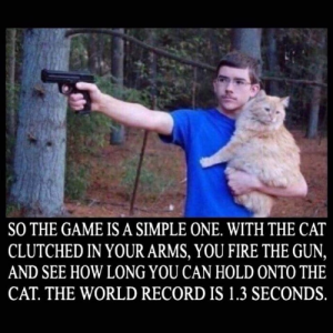 Stupid Bar Memes 08739ef4bbd042c6