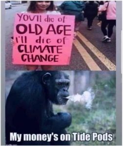 Stupid Bar Memes 0dbcc0b5c01cbe54