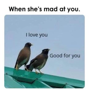 Stupid Bar Memes 1412f448ea17446d