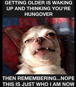 Stupid Bar Memes 1788d0589b459c98