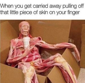 Stupid Bar Memes 1bea212fb53d4456