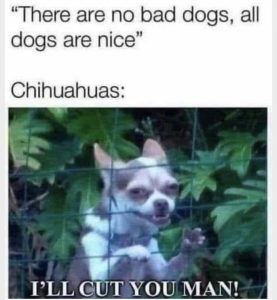 Stupid Bar Memes 1e7ad31658b96aad