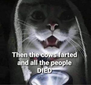 Stupid Bar Memes 1f47a92774bf31a7