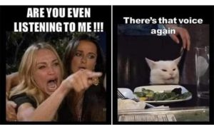Stupid Bar Memes 1fa85c2f8f8b5b8f