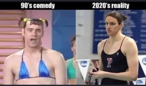 Stupid Bar Memes 29b2d308772da603
