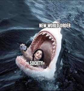Stupid Bar Memes 33cb05e7e57b1925