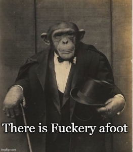 Stupid Bar Memes 35d09c294b420e18