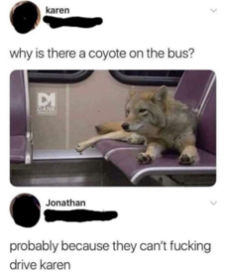Stupid Bar Memes 3b3c32f44b91eb66