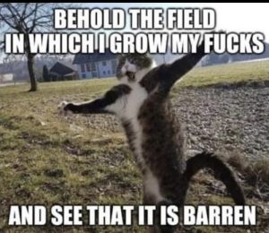 Stupid Bar Memes 3d33eeb599c608da