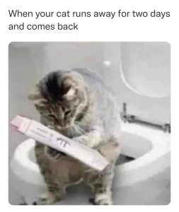 Stupid Bar Memes 45f75afaf589cd93