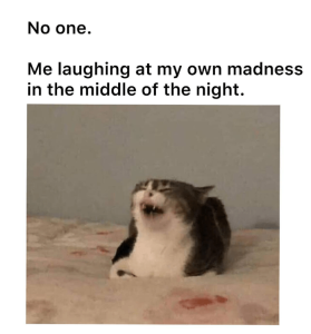 Stupid Bar Memes 48ed34b5a6c05296