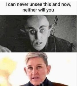 Stupid Bar Memes 4caa90c07da38f88