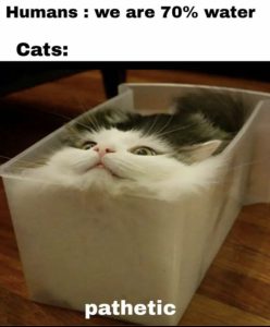Stupid Bar Memes 4ce3ba1eb2954a36