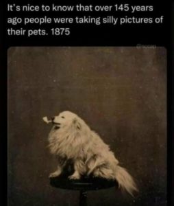 Stupid Bar Memes 4f992ea62575b7e3