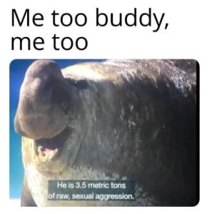 Stupid Bar Memes 50d0391043fa73a4