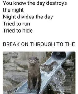 Stupid Bar Memes 58022b01d14c2b29