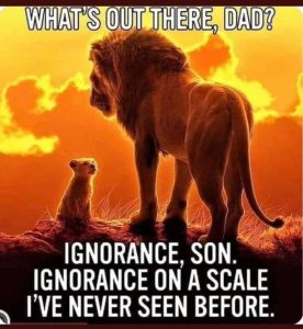 Stupid Bar Memes 5a28423c14fbfbe6