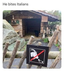 Stupid Bar Memes 6bf809af897d3a17