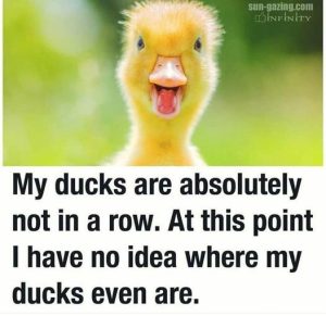 Stupid Bar Memes 6d951eb1d96078bd