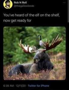 Stupid Bar Memes 7361baa1f3b35d73