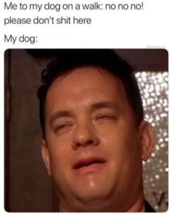 Stupid Bar Memes 743c1cb464aaee5e4831ba3bea9d9f26
