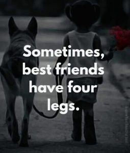 Stupid Bar Memes 773c3f2306a09a68