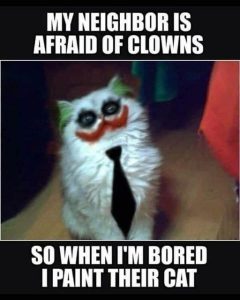 Stupid Bar Memes 7b943ef4a780e1cd