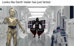 Stupid Bar Memes 84316d88e7fd9f9f