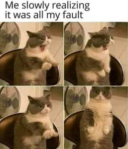 Stupid Bar Memes 8764bdf35d07231a