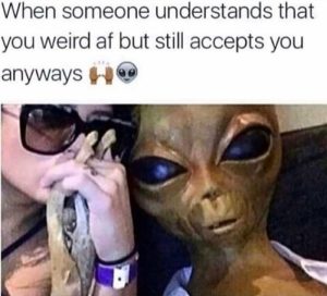 Stupid Bar Memes 8eb7bf8f4bd3ce57