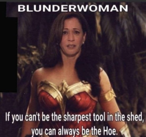 Stupid Bar Memes 9134d5e6d780b3b9