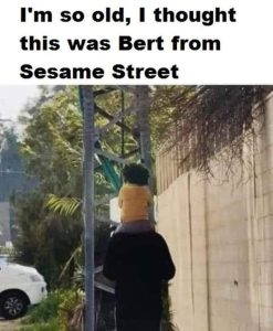 Stupid Bar Memes 96b4dd854bbccfbc
