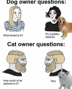 Stupid Bar Memes 97f1cbe79ccd332e