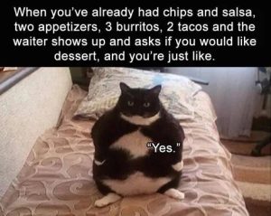 Stupid Bar Memes 9981a941977aa757