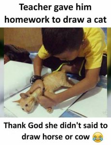 Stupid Bar Memes 9c3bb2c0be4737da