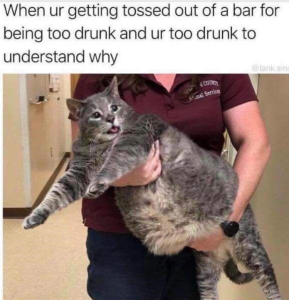 Stupid Bar Memes 9cfd28c3aa702f46