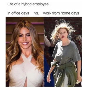 Stupid Bar Memes SarcasmsOnlysInstagramsMemes9