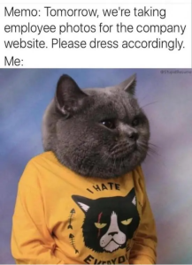 Stupid Bar Memes WARs02s19s23s1s1