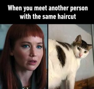 Stupid Bar Memes a44652ab9f3e630c
