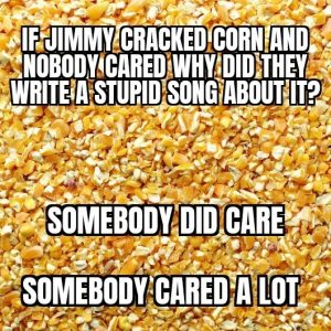 Stupid Bar Memes a5811ae984967344