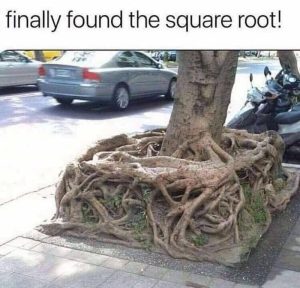 Stupid Bar Memes a6965d6bb707e643